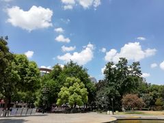 -常州古运河南大街文化旅游区-人民公园