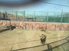 -鄂尔多斯野生动物园