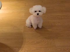 -comecome来吧宠物(奥克斯中心店)