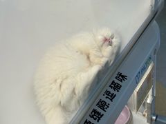 -昆山招商花园城