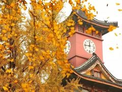 -四川大学(华西校区)