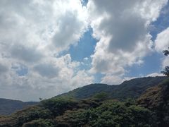 -黄埔油麻山森林公园