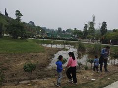-都江堰玫瑰花溪谷