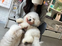 -如意香辣鸡架(总店)