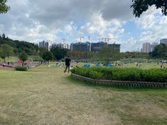 -牛岗山公园