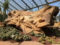 -南通洲际绿博园