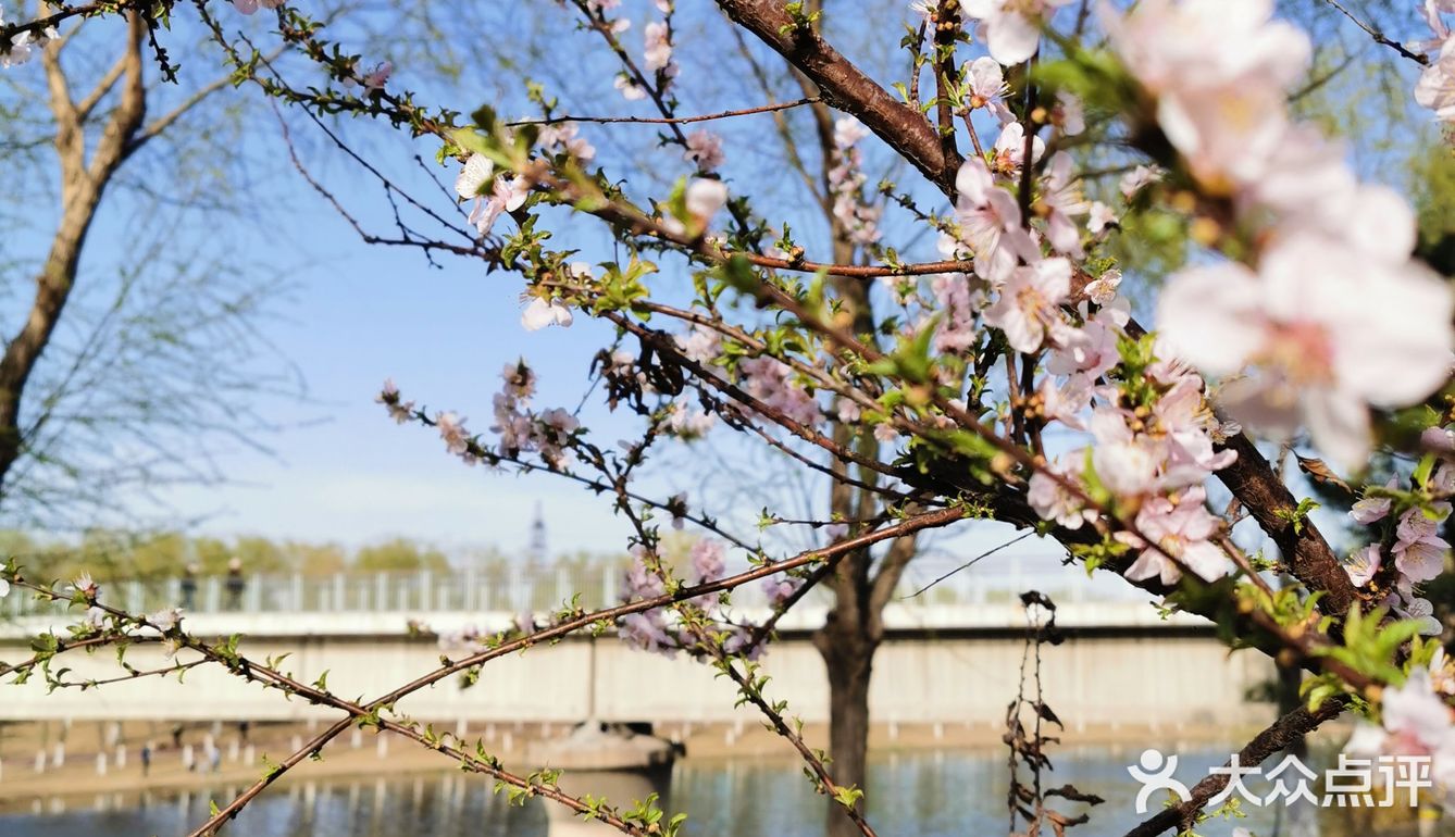 《城市公园》