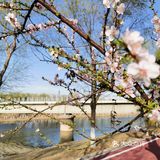 《城市公园》