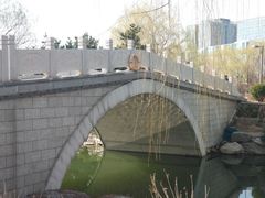 -大兴滨河森林公园