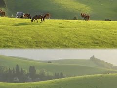 -新疆那拉提国家旅游度假区