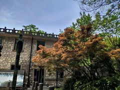 -紫金山天文台