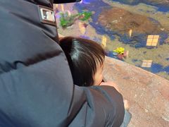 -秦皇岛新澳海底世界
