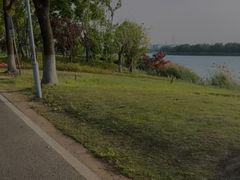 -漕湖湿地公园