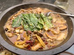 黑鱼-都江堰石锅鱼