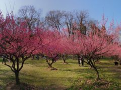 -采石矶景区
