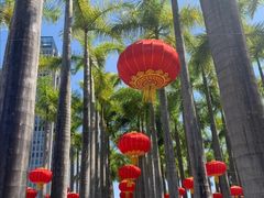 -深圳国际园林花卉博览园