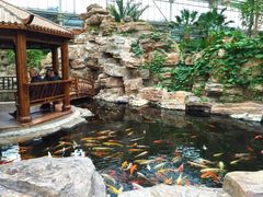 -龙达温泉生态城
