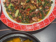 -新概念来凤鱼(璧山店)