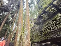 -梭布垭石林景区