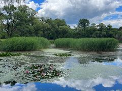 -承德避暑山庄景区