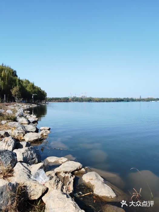 北龙湖湿地公园图片