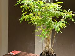 -无味舒食(思南公馆店)