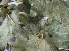 饽椤叶饼-龙香居海鲜浑锅家常菜·特色驴肉