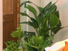 -LuluCake·路鹿蛋糕