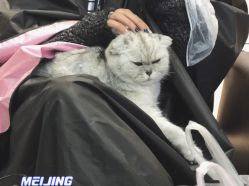 -D.z Salon 无痕接发潮店