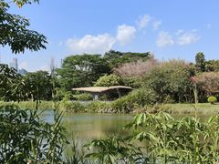-福田红树林生态公园