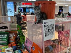 -万达广场(大明宫店)