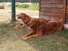 景点-上海长兴岛郊野公园