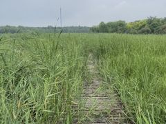 -西青郊野公园