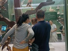 -国家自然博物馆