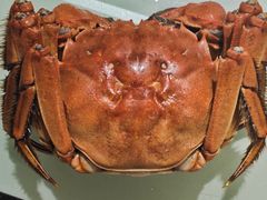 -七的湖·晚芳亭·阳澄湖农家菜·大闸蟹(莲花岛店)