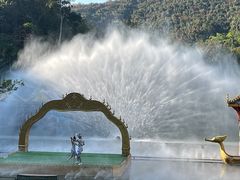 -西双版纳原始森林公园