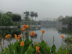 -荔湾湖公园