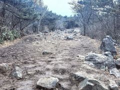 -安吉龙王山风景区