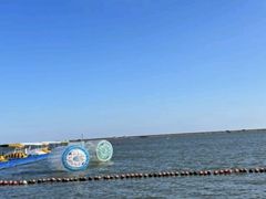 -碧海金沙