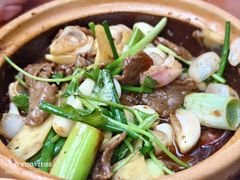 -罗妈砂锅(四川成都奎星楼店)