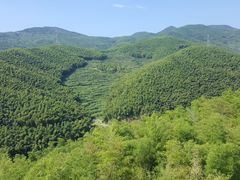 -宁波浙东大竹海景区