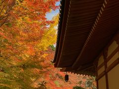 -醍醐寺