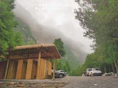 -重庆睡佛山森林公园
