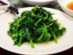 酒香豆苗-老吉士酒家(天平路店)