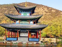 -黑龙潭公园