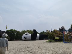 -苏州太湖国家湿地公园