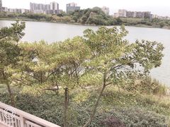 -广东花都湖国家湿地公园