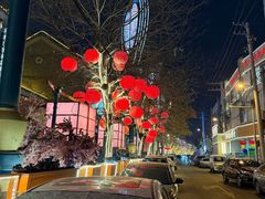 -白鹤大冷面