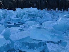 -长春市南湖公园