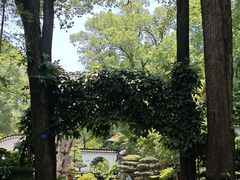 -南山植物园